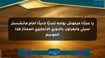 يا عجبًا! مرموش يواجه تحديًا جديدًا أمام مانشستر سيتي وإيفرتون بالدوري الإنجليزي الممتاز هذا الموسم